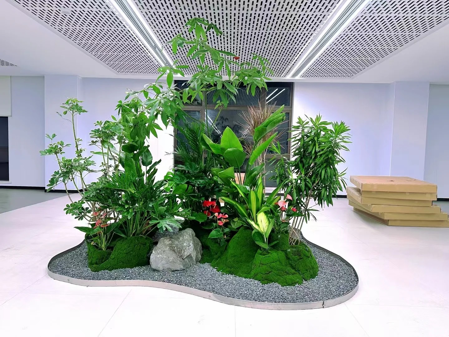 专业铸就品质，海曙绿植租摆的魅力你不可错过